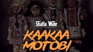 Shatta Wale  Kaakaa Motobi [upl. by Terag]