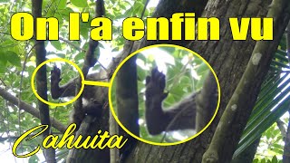 132 🇨🇷 Parc National de Cahuita I Costa Rica [upl. by Araht]