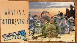 COMPILATION  What is a bottersnike  Bottersnikes and Gumbles  Cartoons for children [upl. by Jammie]