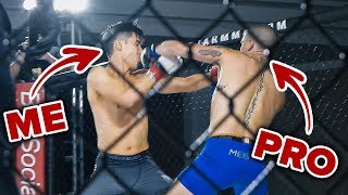 I Trained To Become An MMA Fighter In 4 Months [upl. by Nirik]