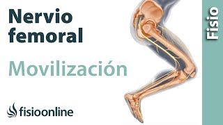 Flexibilización y movilización del nervio femoral [upl. by Pansir]