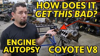 1114 Ford F150 50L Coyote Teardown Shop Says quotIts badquot They Werent Kidding [upl. by Ettennal]