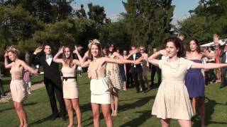 flashmob mariage [upl. by Felipa]