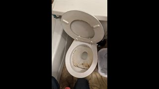 GROSS Toilet Cleaning Hack SHORTS [upl. by Anyd]