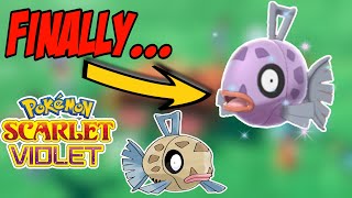 How to Shiny Hunt Feebas  Pokemon Scarlet amp Violet [upl. by Rehpotsyrhc823]