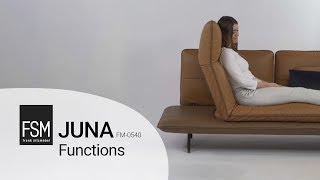 FM540 FSM  Juna Functions [upl. by Anora]