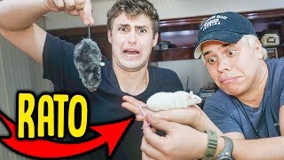 RATO DE VERDADE VS RATO DE BRINQUEDO   REZENDE EVIL [upl. by Ekeiram]