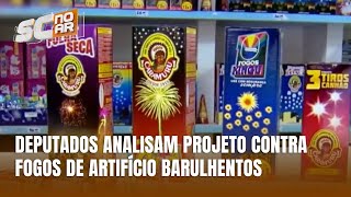 Deputados analisam proposta que proíbe fogos de artifício com efeito sonoro em SC [upl. by Frerichs]