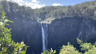 Ellenborough Falls weekend trip from Sydney [upl. by Anivlac777]