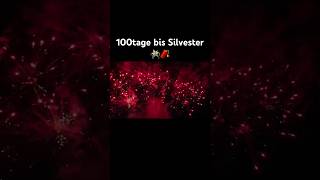 100 Tage bis Silvester 🧨 silvester fireworks pyrotehnik feuerwerk pyrotechnik vuurwerk party [upl. by Ahsap785]