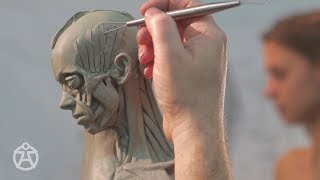 Live demo – anatomy female Andrew Cawrse  ecorche sculpture [upl. by Vidda172]