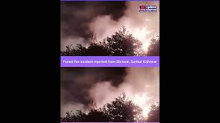 Forest fire incident reported from Shrawal Sarthal Kishtwar [upl. by Tremml]