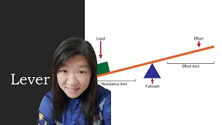 DLP Science F2 Chapter 82 C Lever PT3 KSSM [upl. by Piwowar80]