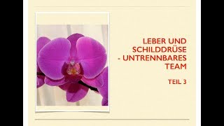 Leber und Schilddrüse Teil 3 [upl. by Alysoun]