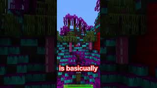 THE BEST VS THE WORST TEXTURE PACK IN MINECRAFT [upl. by Hplar]