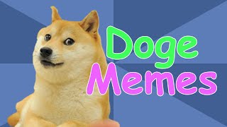 The Story of Doge How Kabosu Became the Doge Meme  Meme History [upl. by Renee748]