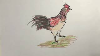 How to draw a Rooster [upl. by Ecniuq127]