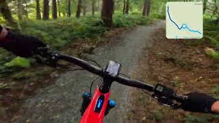 Delamere Forest Cheshire mountain bike trail  GoPro 11 [upl. by Haodnanehs75]