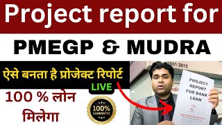 PMEGP लोन के लिए प्रोजेक्ट रिपोर्ट कैसे बनाएं PMEGP Project Report Kaise Banaye Mudra loan project [upl. by Alfy]