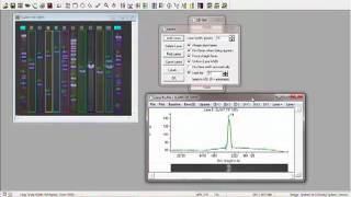 DNA Analysis with GelPro Analyzer Software from Media Cybernetics [upl. by Acsicnarf679]