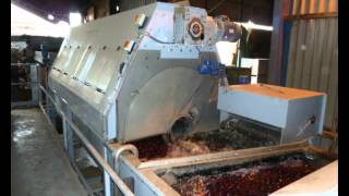 Haith Beetroot Washing amp Grading [upl. by Amalia]