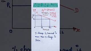 Elasticity of demand  Elastic demand  Class 12 economics [upl. by Torin]