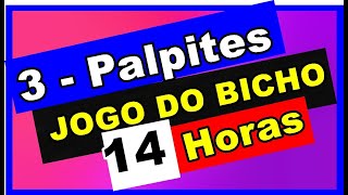 Palpites das 14 horas de hoje do Jogo do Bicho PTRJ [upl. by Ereveniug]