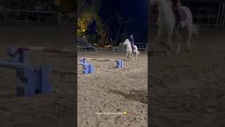 🥲🥲 horse concours poney cheval equestrian chevaux humour [upl. by Atilegna]