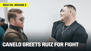 Canelo Alvarez Greets Andy Ruiz Ahead of Ruiz vs Joshua 2 Picks Him To Win [upl. by Acenahs]