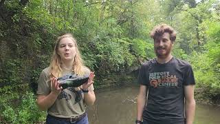 Preparing for a Creek Walk at Severson Dells [upl. by Lowell]