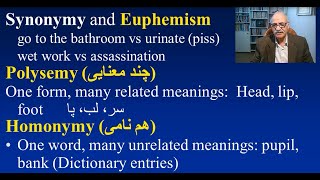 Synonymy Polysemy Homophony Homographs  زبانشناسی  هم معنایی، چند معنایی، هم آوایی، هم نویسگی [upl. by Ross648]