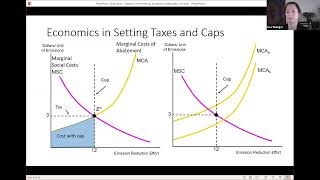 Applying Environmental Economics to Policy Taxes Fees Cap amp Trade [upl. by Eentruoc]