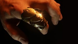 How to Make Armor with Ordinary Tools  Dragon Rider Ring [upl. by Elbert237]