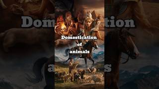 Domestication of Animals fact facts history inventions viralvideo pets pet [upl. by Hill]