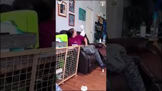 Funny parrot pt17 like and sub for pt18 funny funnypetsmoments funniestvideo funnypost [upl. by Giralda]