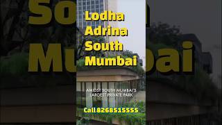 Lodha Adrina  Lodha Park  South Mumbai  Call 8268515555  Lower Parel  Worli  shorts [upl. by Alric]