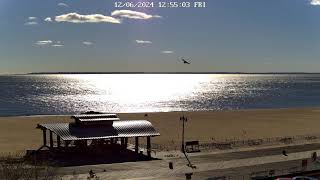 Brighton Beach Webcam [upl. by Cargian]