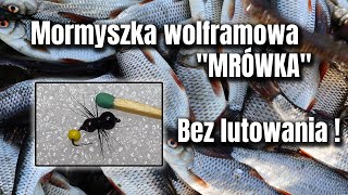 Mormyszka wolframowa na PŁOCIE quotmrówkaquot  Jak zrobić mormyszkę bez lutowania [upl. by Teahan]