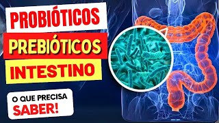 PROBIÓTICOS PREBIÓTICOS e INTESTINO  O que você PRECISA SABER [upl. by Nolyak]