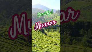 Is Munnar the Most Beautiful Hill Station in India kerala [upl. by Ariane469]