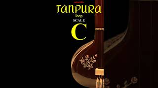 TANPURA C SCALE LOOP । tanpura tanpura c c tanpura [upl. by Akihsat]