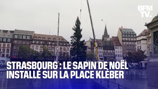 Le sapin de Noël de Strasbourg est arrivé sur la place Kléber [upl. by Yrakcaz248]