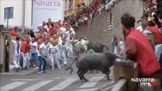 Encierro San Fermin 2015 El toro que no quiso correr [upl. by Hershell]