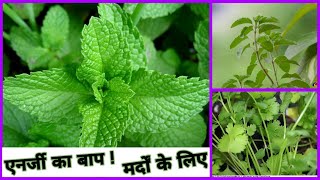 Mardo Ke Liye किसी वरदान से कम नहीं है ये 3 पत्तियां ॥ 3 Leaf Benefits in hindi ॥ [upl. by Shayla941]