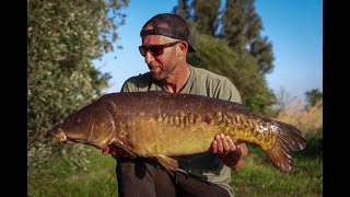 Carp Life  WORKING AT MY LAKE [upl. by Gensmer]