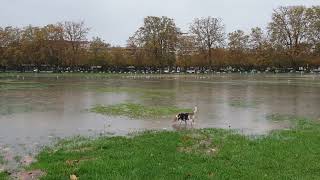 ANNECY LE PAQUIER INONDÉ APRES 2 TEMPÊTES 5 novembre 23 [upl. by Julita]