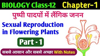 Structure of Flower  class 12 biology sexual reproduction in flowering plants  pushp ki sanrachna [upl. by Eileek]