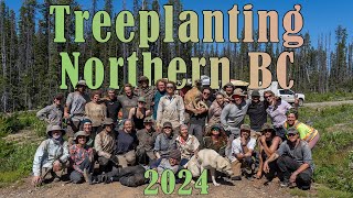 Tree planting in Northern BC 2024 [upl. by Waverley]