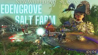 New World PvP  Season 2  Azoth Salt Farming  Rapier Hybrid  Open World  1vX  Small Scale [upl. by Margie191]