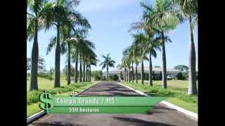 FAZENDA À VENDA EM CAMPO GRANDE  MS COM 550 HECTARES [upl. by Airdnal]